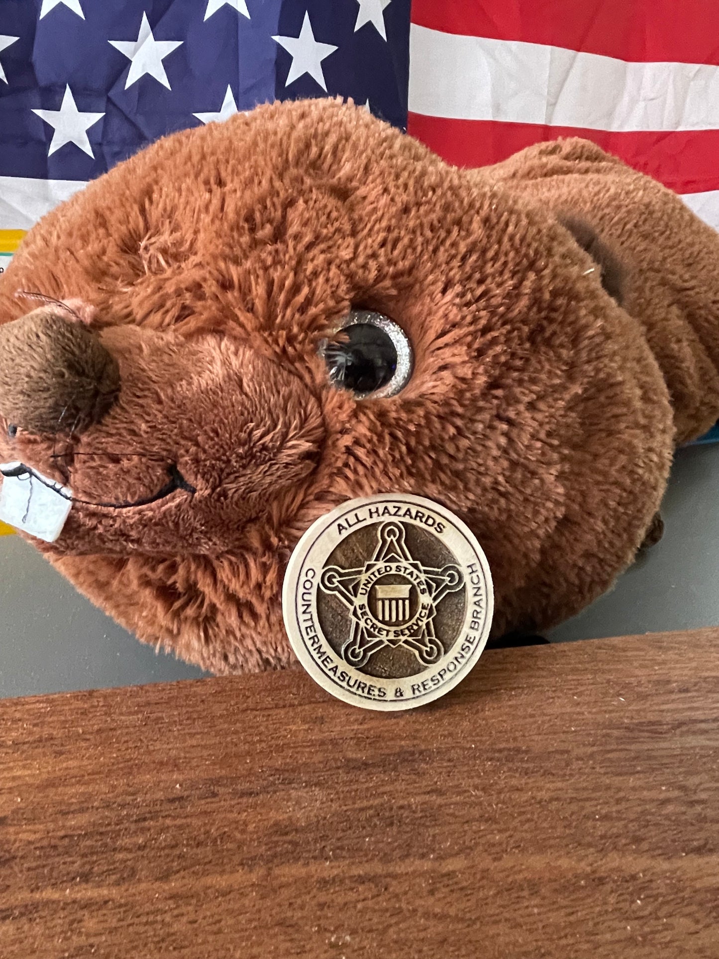 2" Secret Service Challenge Coin